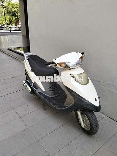 Xe atila biển 30