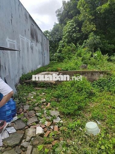 Đất xây nhà Long Khánh 115m² – hẻm rộng, yên tĩnh, giá hợp lý