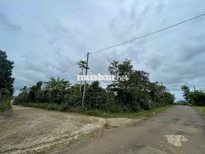 Bán Đất hơn 1000m2 mặt tiền Trần Nhật Duật giá đầu tư