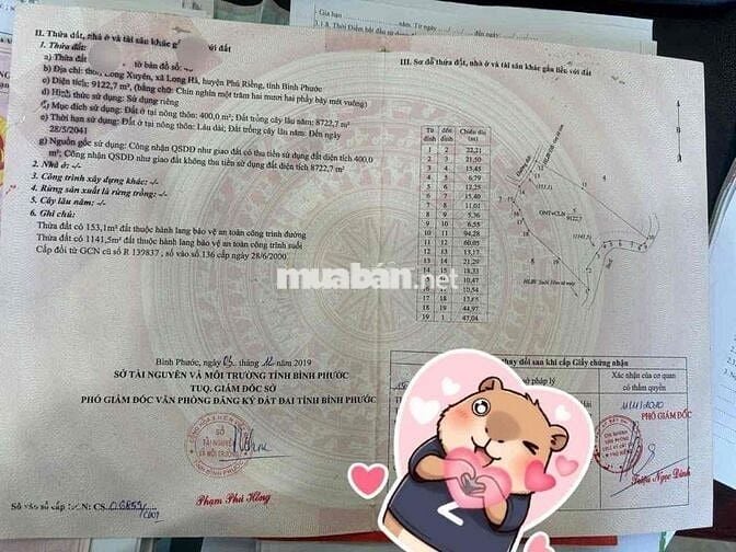 chính chủ bể ngộp cắt lỗ mãnh vườn cây ăn trái tâm huyết