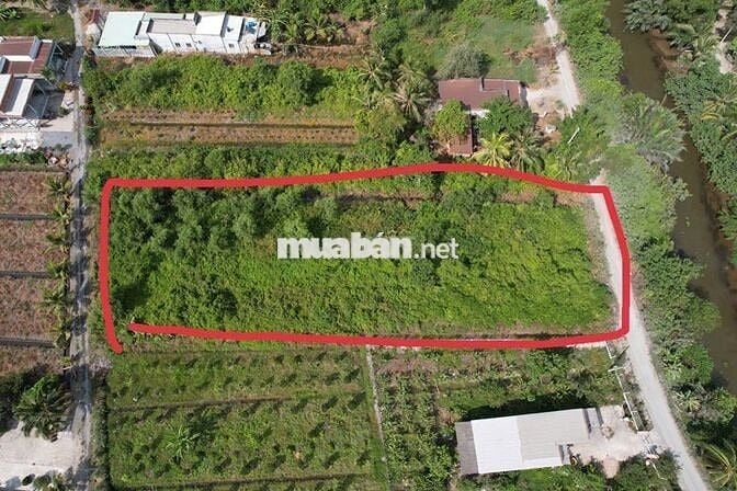 Chính chủ bán đất sổ đỏ 2 mặt tiền xe hơi gần Quốc lộ N2