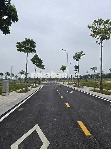 🏡 BÁN DỰ ÁN ĐẤT TẠI HOÀNG LIỆT – HOÀNG MAI 🏡