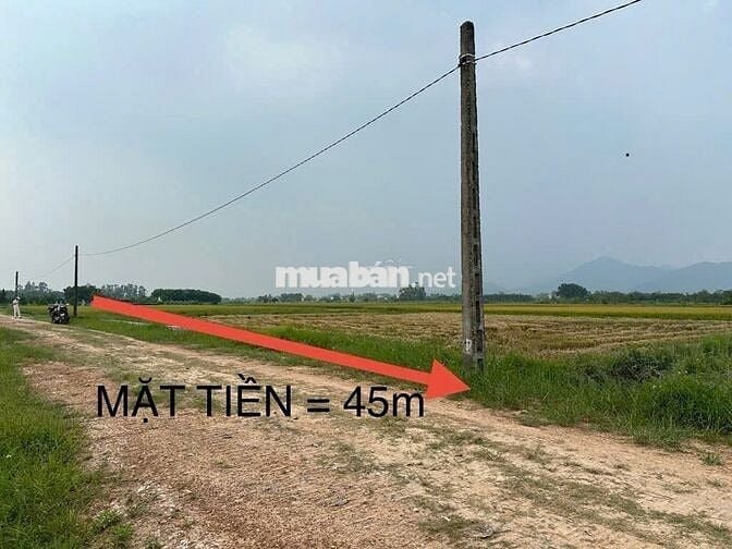 ❤️🔥Bán 1642m2 Đất Ruộng Hiền Ninh - LÔ GÓC – Sát Trục Chính Thông Ô Tô