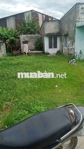 Em có lô đất cần bán ở Hàm Thuận Nam (km37 )