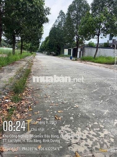 Đất mặt đường D14 sau toàn hành chính bàu bàng - sổ sẵn