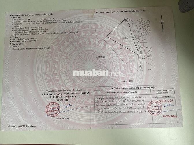 Bán Đất Nhị Hà - Mặt tiền đường bê tông