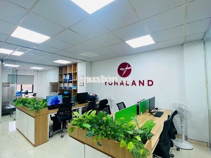 Cho thuê văn phòng 80m2 tại Đại Linh - đầy đủ đồ - ô tô đỗ cửa