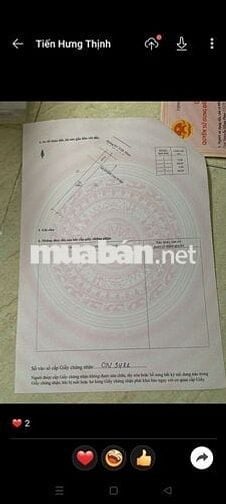 Đau lòng lắm nhưng ko còn lựa chọn chị chủ hạ mạnh từ 780t còn 465t ạ
