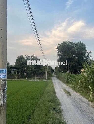 CẦN BÁN ĐẤT THỔ CƯ 100% DIỆN TÍCH 139m2 TẠI BÀU SEN ĐỨC LẬP THƯỢNG