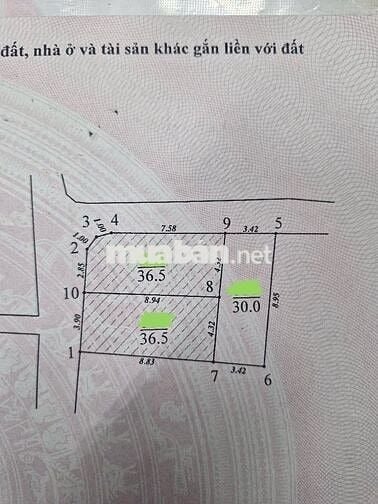 Ngõ Ô Tô - Hồ Tùng Mậu - Sổ Vuông - 8.3 Tỷ -  vài bước ra phố
