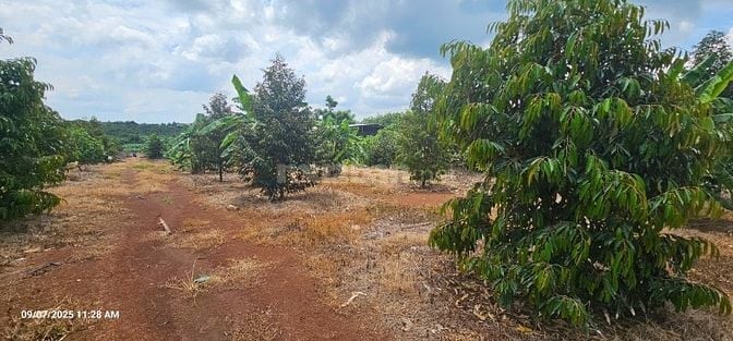 Bán đất DT 1096.8m2, giá siêu hời 4,2 tỷ tại ĐT 328, Bàu Lâm, XM, BRVT