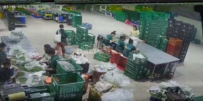 Công ty TNHH MTV Mekong delta foods cần tuyển 10 lao động PT.