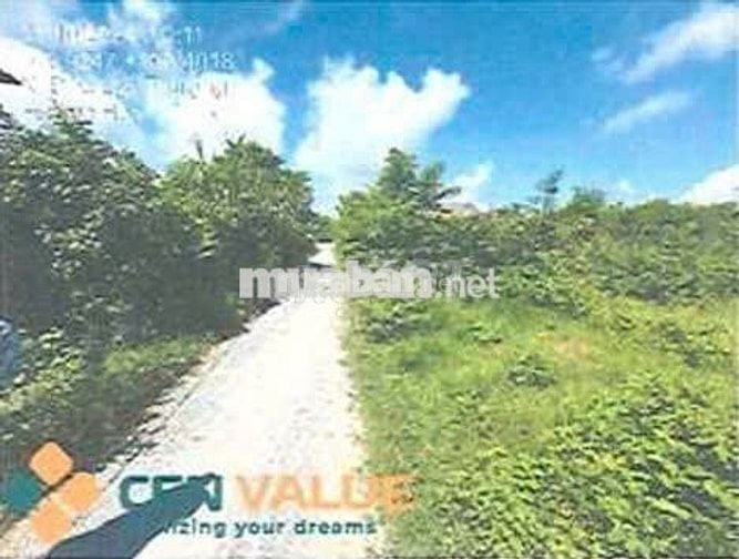 Bán ĐGTS đất tại xã Hậu Nghĩa, tỉnh Tây Ninh