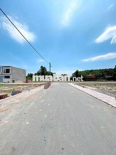 BÁN GẤP 2 LÔ ĐẤT LIỀN KỀ 8x27m NGAY PHƯỜNG TÂN TRIỀU CHỈ tt500tr