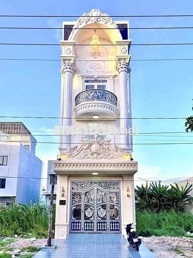 nhà mới tân cổ điển đường D1 Hồng Loan lộ 30m giá 7 tỷ 500tr (T Lượng)