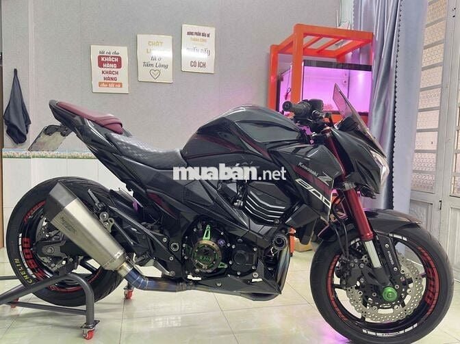 Z800 abs 2016