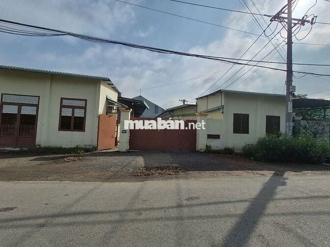 Nhà Xưởng 1023m2 tại Đường Nguyễn Thị Xạnh, Củ Chigiá siêu hời 14,5 tỷ