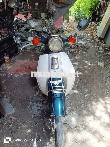 Honda cub 81-50cc bstp