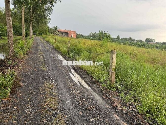 BÁN MIẾNG ĐẤT VƯỜN – GIÁ HỢP LÝ, GIẤY TỜ RÕ RÀNG