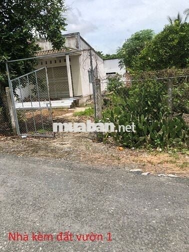 Bán nhà và đất vườn 2002m² 2 mặt tiền đường nhựa, gần Cái Ngang