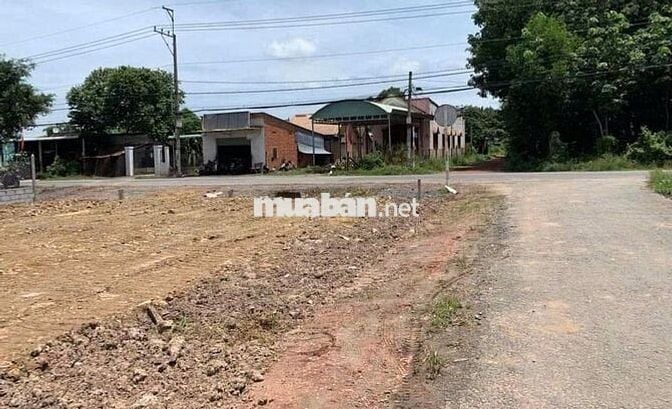 ĐẤT NGỘP  NỞ HẬU NGAY  TRUNG TÂM PHÚ GIÁO – GIÁ 500 TRIỆU