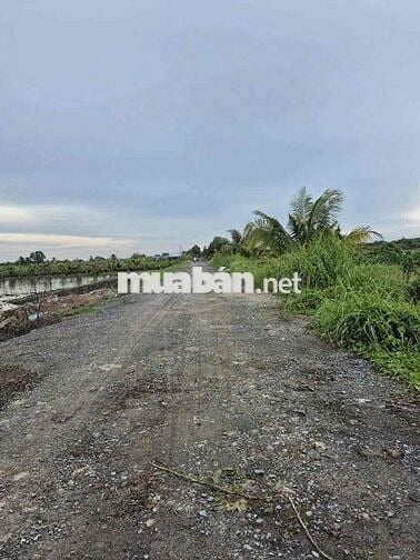 1000m2 giá 569tr , xã tân thành - thủ thừa - long an