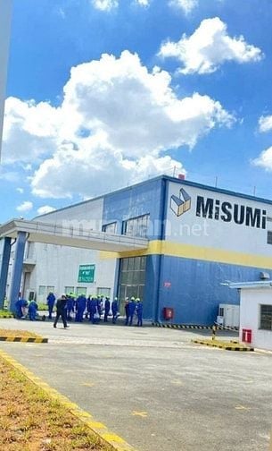 Tuyển lao động phổ thông khu vực Dĩ An, Thủ Đức