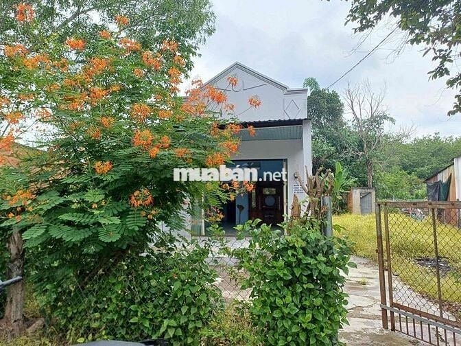 Tam Lập, Giảm mạnh 300 tr cứu chủ ngộp ngân hàng ngay cụm công nghiep