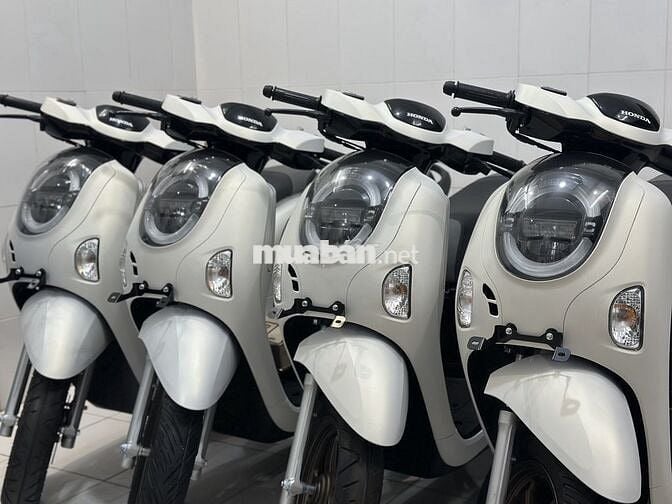 Scoopy 2025 - New 100%