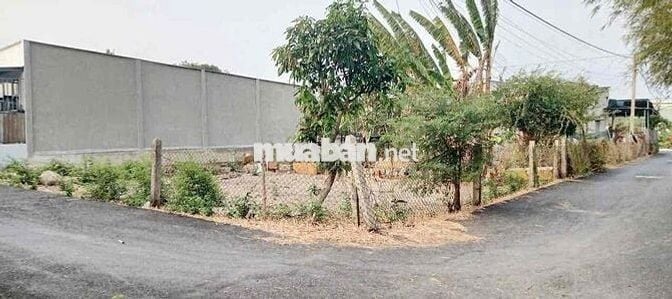 không còn tiền lo cho con gái nên vk ck em đứt ruột để lại miếng đất