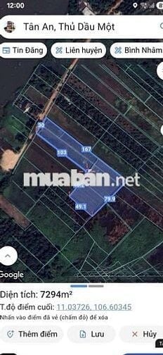 Cần Bán 6 lô đất liền kề tại Tân An , Thủ dầu một , Bình Dương .