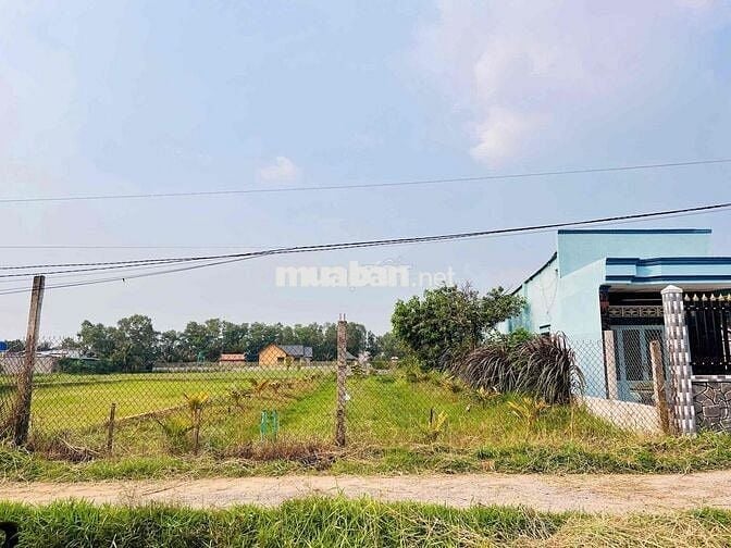 Đất xây nhà vườn 5x55m và 10x55m giá 1ty1