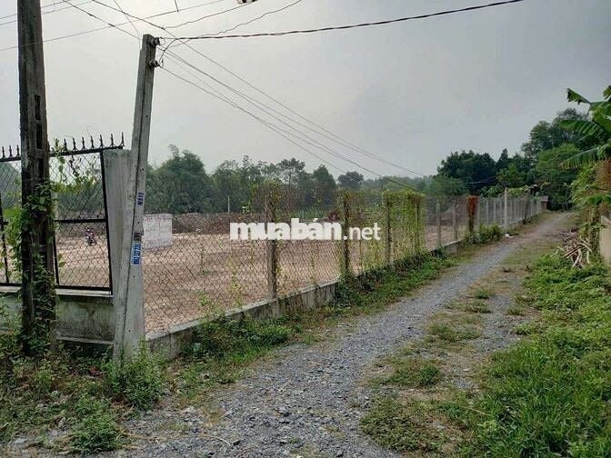 Bán đất khu vực thị xã Trảng Bàng, cua ngân hàng 2 Mặt tiền