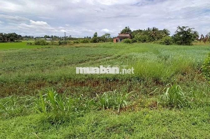 CCG SANG NHƯỢNG NHANH LÔ ĐẤT NGAY QL.22