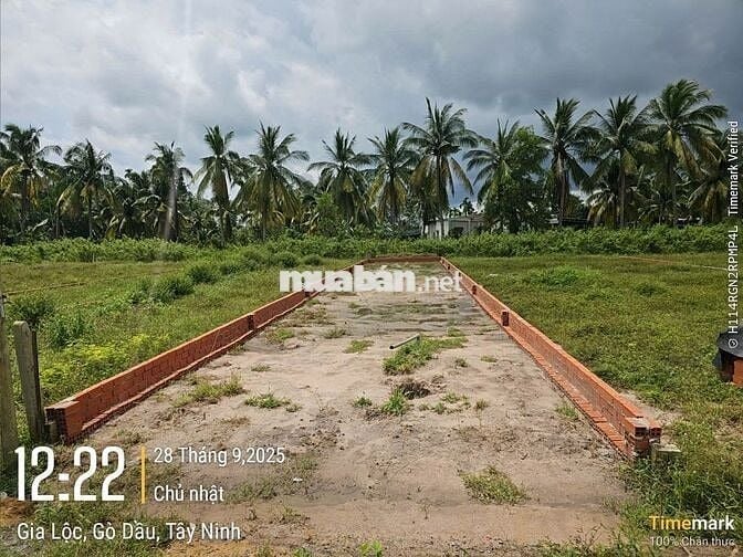 ĐẤT THỔ CƯ GIÁ RẺ 144M2 SÁT KCN PHƯỚC ĐÔNG GÒ DẦU, TÂY NINH. 900 TRIỆU