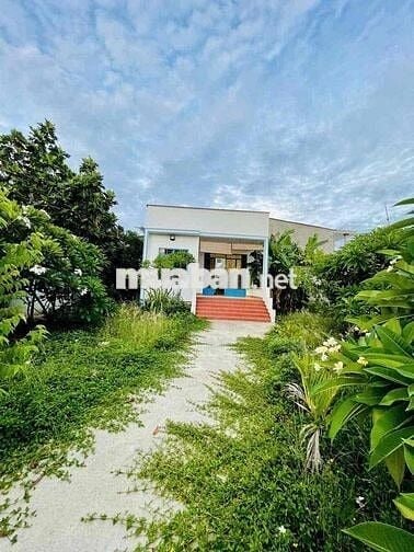 Chủ đi nước ngoài nhượng lại mảnh vườn 600m2 sẵn thổ cư