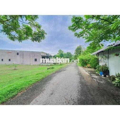 Cần nhượng 106m2 đất thổ, Thái Mỹ – Giá 560tr – Cách QL22 3 phút đi xe