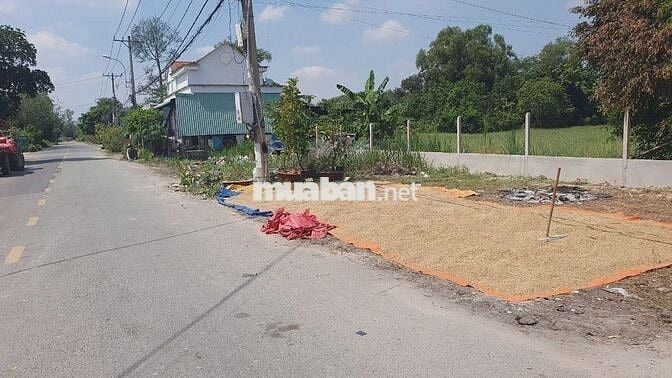 Đất đường Phú Thuận-Trung Lập Thượng : 298m2, thổ 92m2. Giá 900 triệu