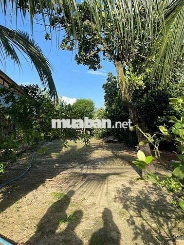 🌟 BÁN ĐẤT MẶT TIỀN ĐƯỜNG 763 🌟 📐 12,5 x 40m  📍 Trục Xuân Lộc – Long Kh
