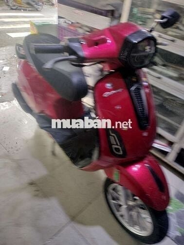 Canely50cc