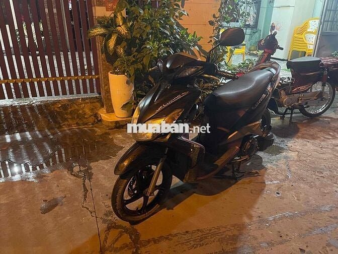 luvias bstp 9 chủ