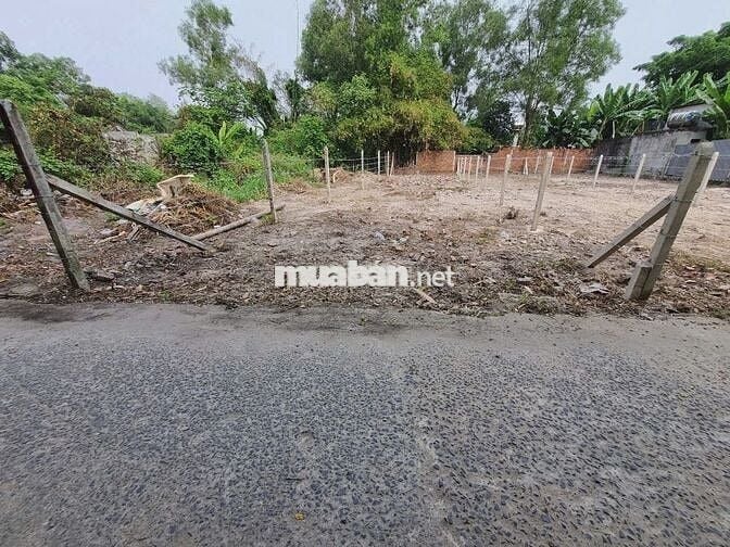 Đất 1/ Trung Lập - Trung Lập Thượng: 156m2 - thổ 135m2. Giá 550 triệu