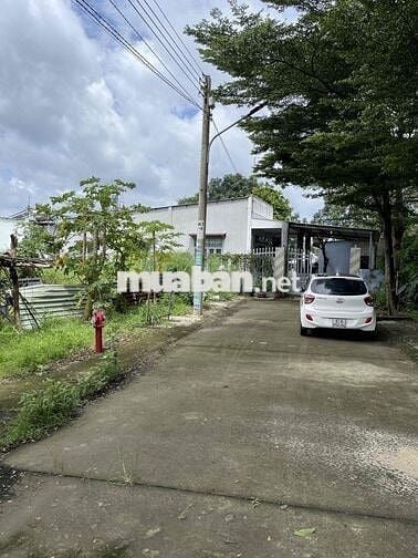 Bán đất P. Thới Hoà, Bến Cát - 102,5m2 thổ cư, ngang 5.5m, nở hậu