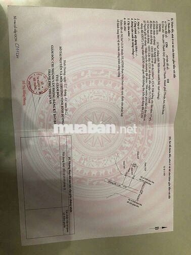 Ban đat phuong an thanh ,TA,BD,,TREN ĐAT CO MAY CAY MANG CUT,MAT LAM