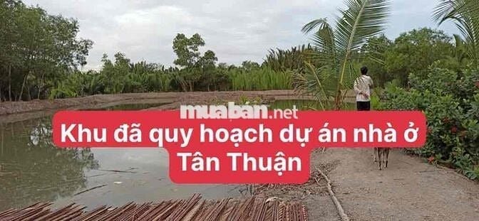 ĐẤT CLN 3385m2, PHƯỚC KIỂN, NHÀ BÈ, CHỈ 4,4Tr/M2