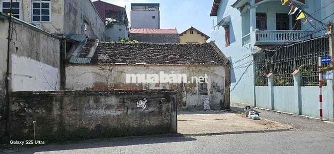 Bán đất 60m Trâu Quỳ, Gia Lâm, lô góc, mặt đường ô tô tránh đỗ