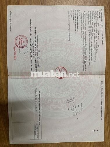 Bán Nhà cấp 4 chính chủ ở Thới Hoà