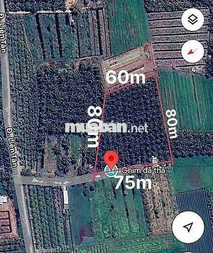 BÁN ĐẤT ĐƯỜNG BÊ TÔNG 3 MÉT, DIỆN TÍCH 3.300, GIÁ 2.9 TỶ