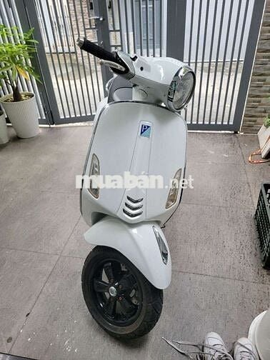 Vespa Primavera