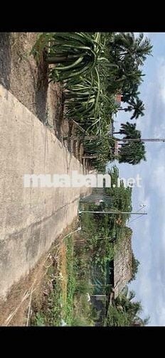 Cần bán lô đất đẹp Châu Thành, Long An